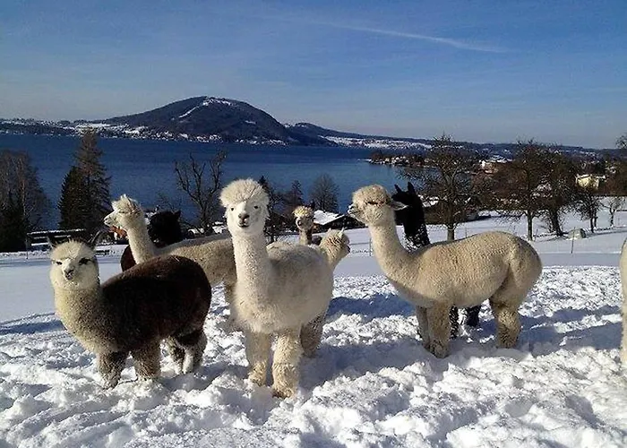 With Amazing Lake- And Mountain View شقة Ober Feuchten