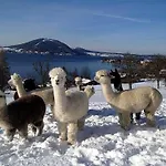 With Amazing Lake- And Mountain View Apartment Ober Feuchten